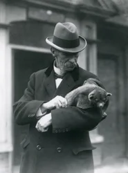 Reginald Innes Pocock F.R.S. tient un kinkajou, zoo de Londres, 1923